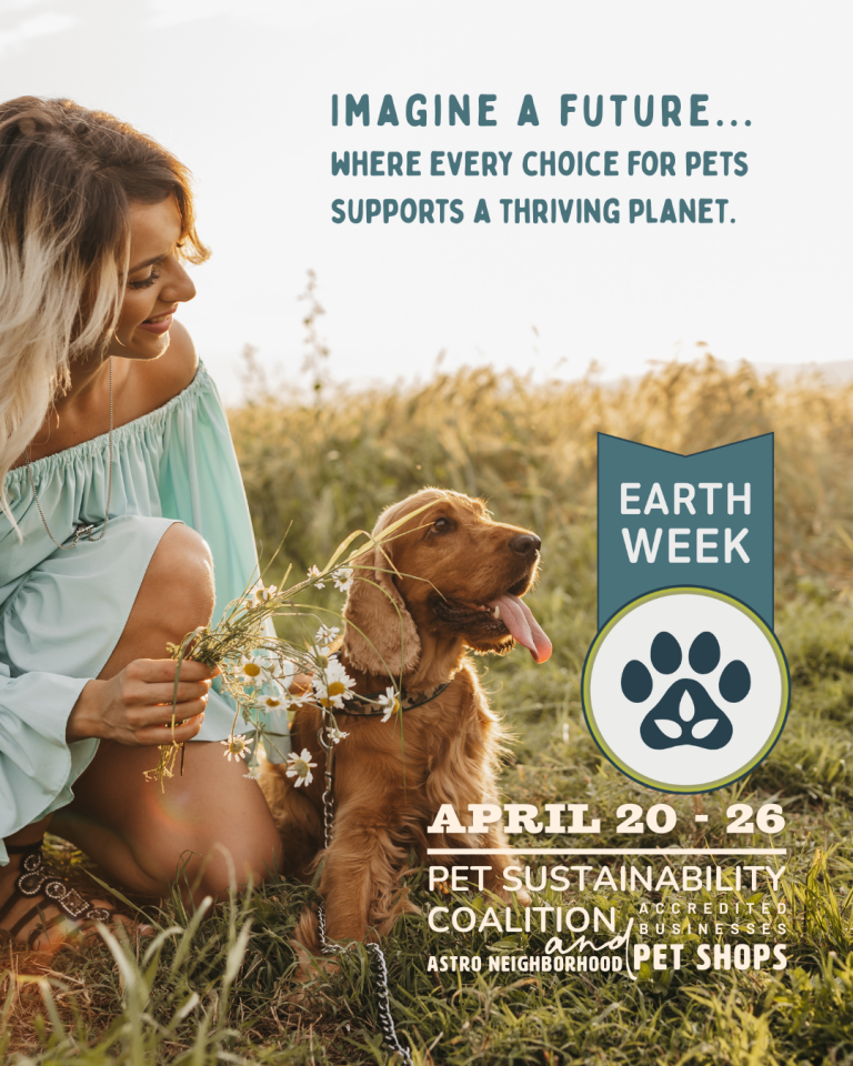 Earth Week Instagram Image _ Dog Field Flower Run