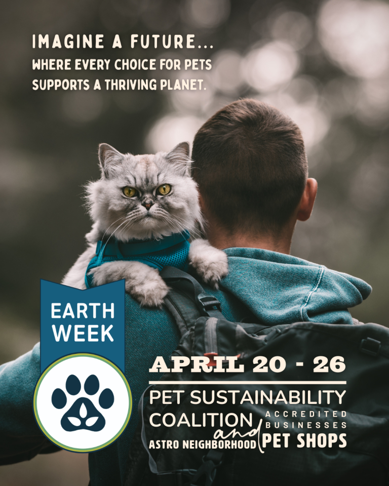 Earth Week Instagram Image _ Hiking with Cat