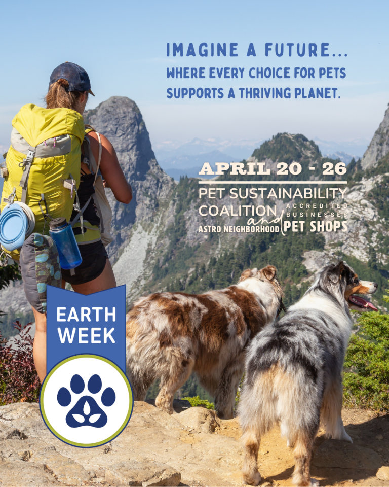 Earth Week Instagram Image _ Hiking with Dog 2