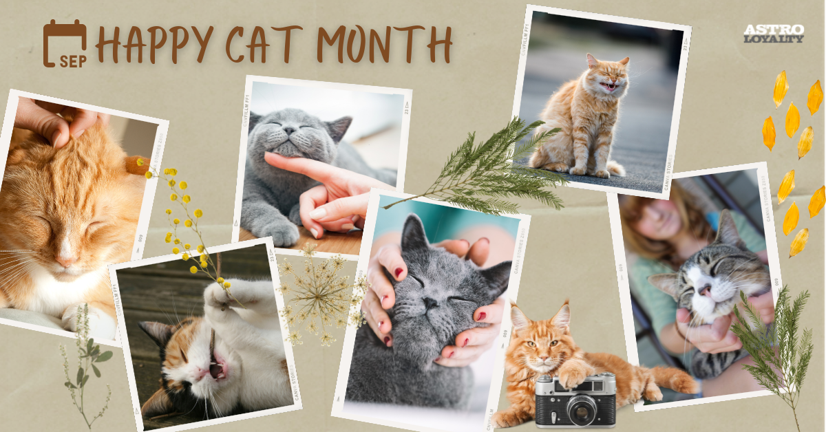 September Pet Holiday Guide: Celebrate with Pets - Astro Loyalty