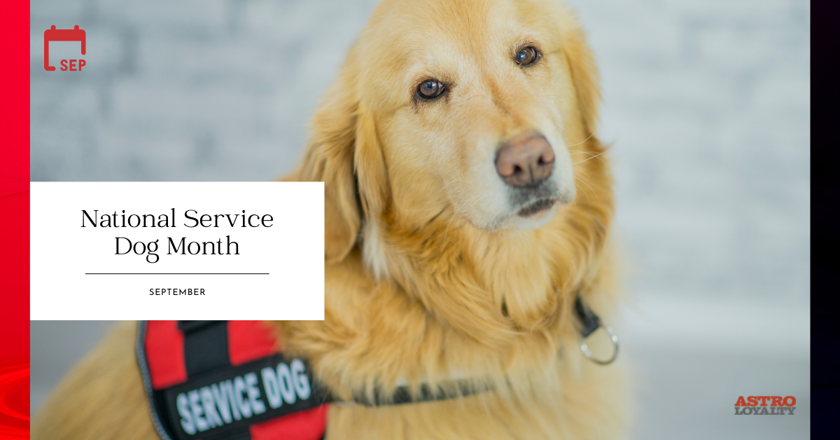 September Pet Holiday Guide: Celebrate with Pets - Astro Loyalty