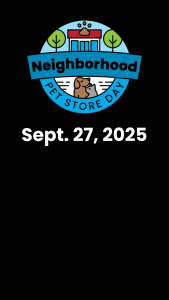 Save the Date Stories